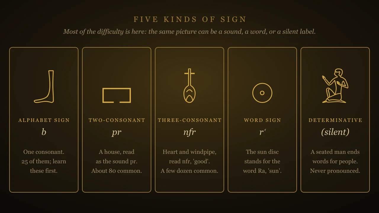 Five kinds of hieroglyphic sign: an alphabet sign (the foot, b), a two-consonant sign (the house, pr), a three-consonant sign (nfr, 'good'), a word sign (the sun disc, Ra) and a silent determinative (a seated man)