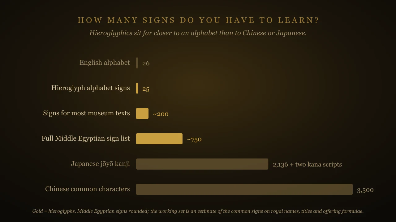 Bar chart comparing how many signs you have to learn: English alphabet 26, hieroglyph alphabet signs 25, signs for most museum texts about 200, full Middle Egyptian sign list about 750, Japanese jōyō kanji 2,136 and Chinese common characters 3,500